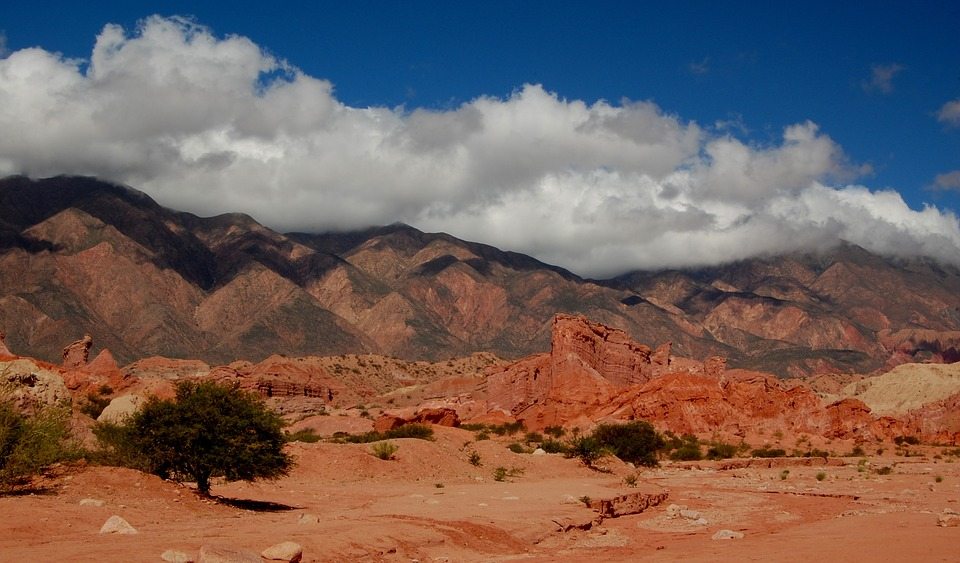 Vineyards in Salta Argentina