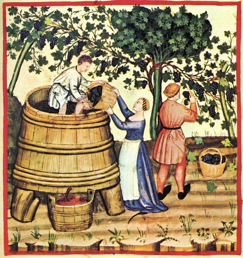 How is wine made