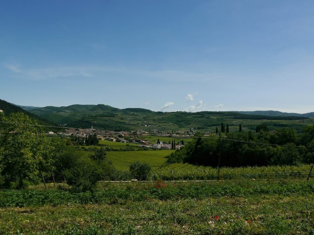 Amarone wine - Italy