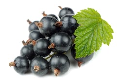 A cluster of blackcurrants with a green leaf isolated on a white background