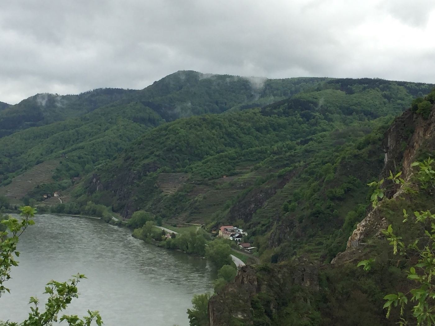 View from the top: glimpse over Wachau terraces