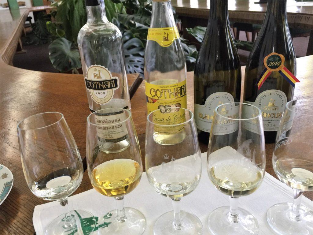 bottles and glasses during wine tasting