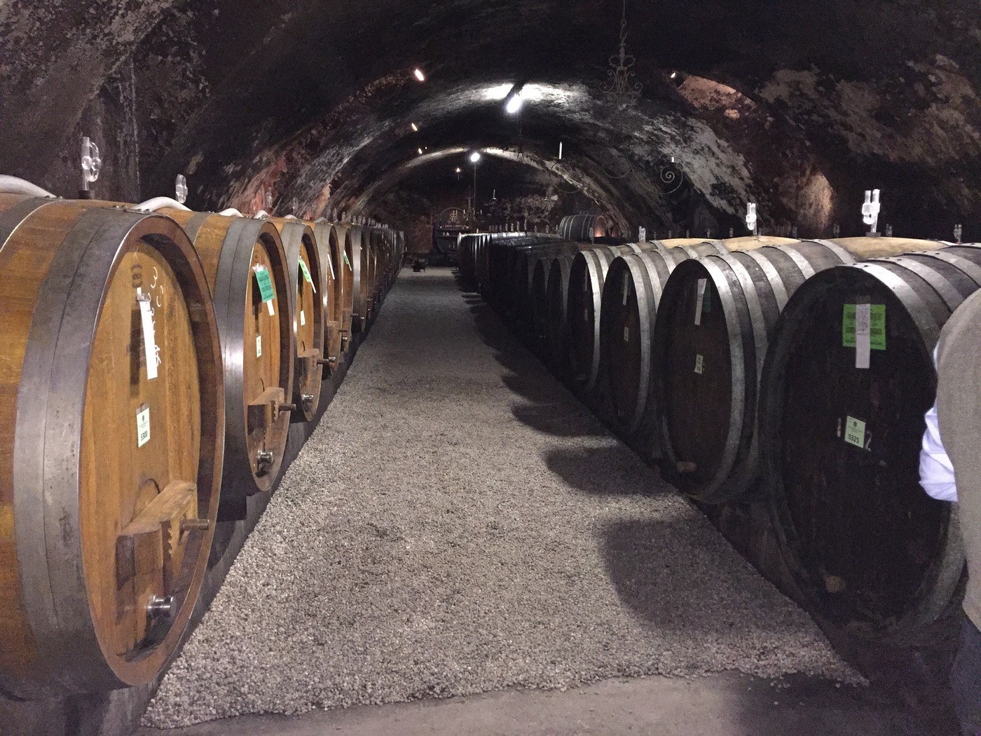 Barrels in the cellar at Schloss Johannisberg