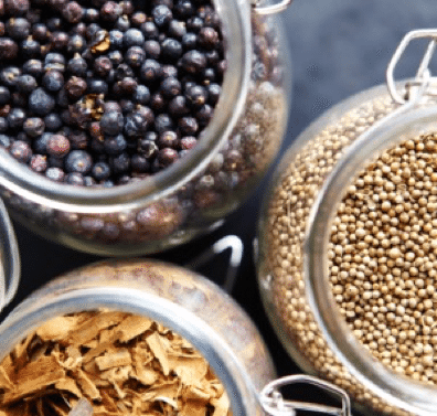 Juniper berries and other gin botanicals