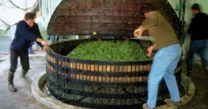 champagne grape press